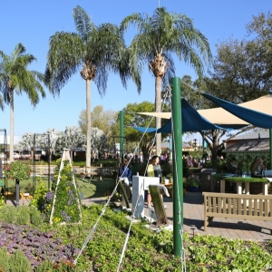 Epcot-Flower-Garden-2013-084