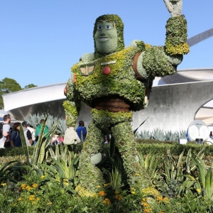 Epcot-Flower-Garden-2013-110