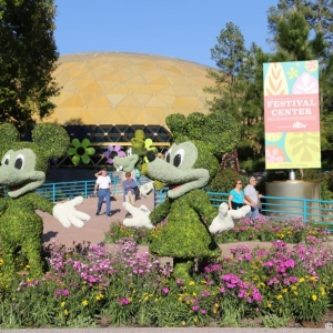 Epcot-Flower-Garden-2013-111