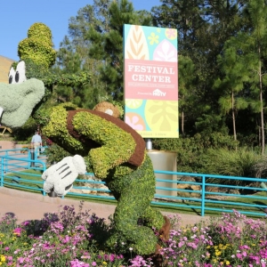 Epcot-Flower-Garden-2013-113