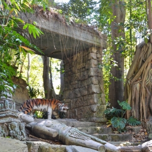 DL-Jungle-Cruise-013