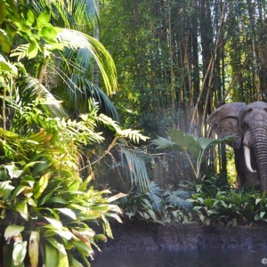 DL-Jungle-Cruise-017