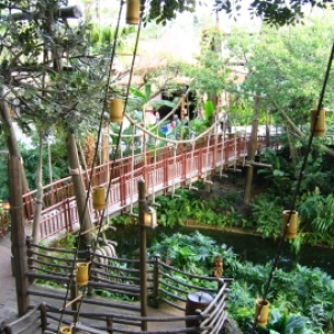 Swiss Family Robinson treehouse