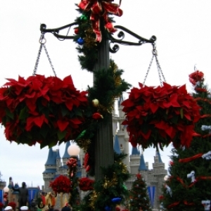 Christmas Greenery