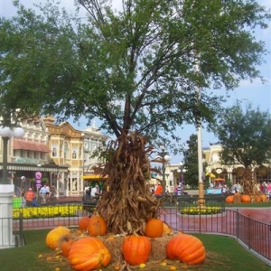 MNSSHP 9/30/2005