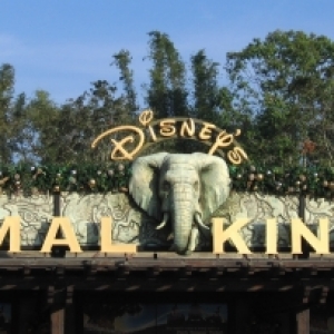 Animal Kingdom entrance