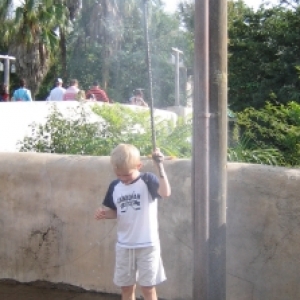 Cooling off at Animal Kingdom
