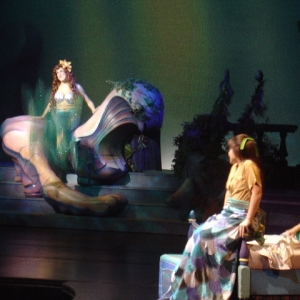 Disney Dreams Arial