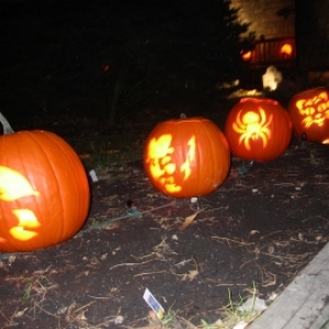 Some pumpkins we carve!