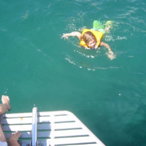 Adventures with sealions
