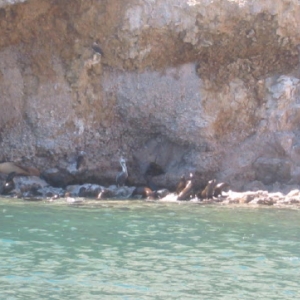 where they are swimming