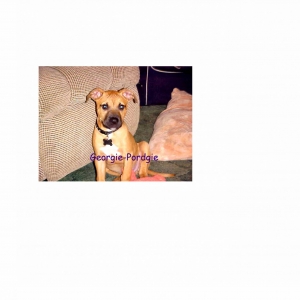 Georgie modified