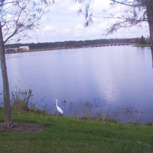 lake view