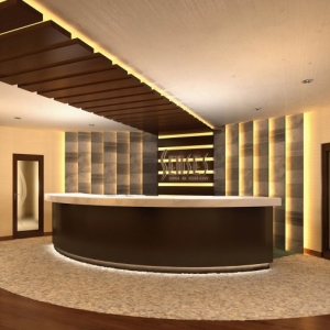 DM_Senses_Spa-Salon_reception