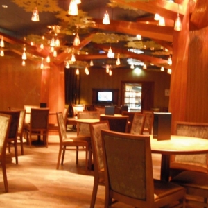 Disney's Sequoia Lodge - Golden Forest Lounge