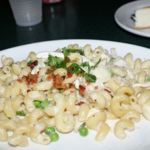 WPE Cavatappi Chicken Alfredo