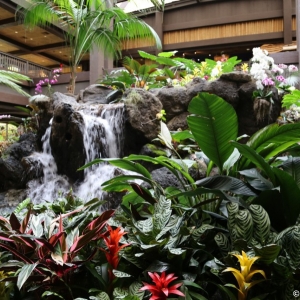 Polynesian-Resort-023