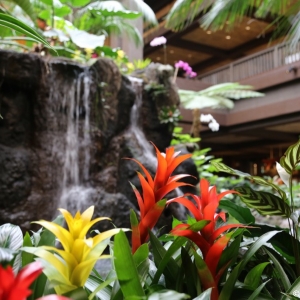 Polynesian-Resort-029