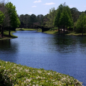 Media 'Resort Grounds' in category 'Port Orleans Riverside'