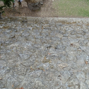 Mayan - Chacchoben - Not Temple - Stairs Down