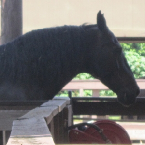 summer_vaca_233
