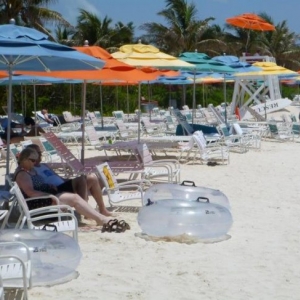 Castaway Cay Umbrellas
