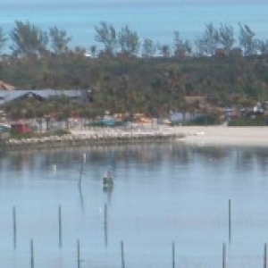Castaway Cay Umbrellas