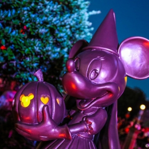 MNSSHP-2013-02