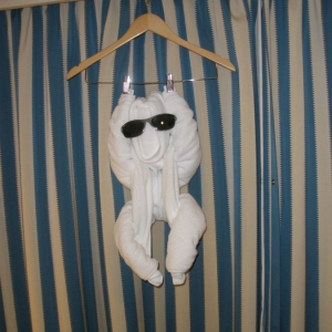 Fantasy Towel Animals