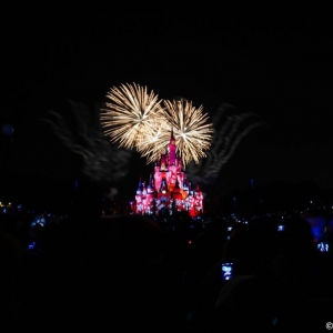 WDWINFO-MVMCP-2013-010