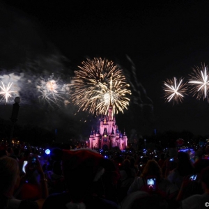 WDWINFO-MVMCP-2013-011