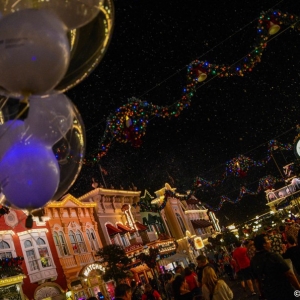 WDWINFO-MVMCP-2013-024