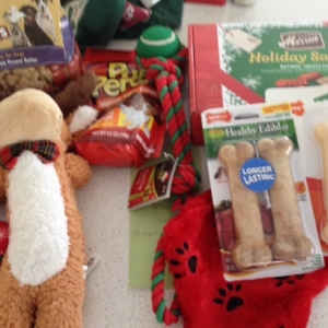 pet stocking exchange