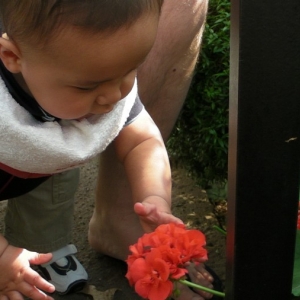 JaedenEasterMO