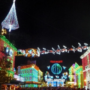 WDW Christmas Time