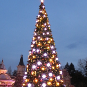 Tree 1