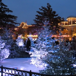 Town square Christmas trees