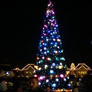 Tree 2 (multi coloured)