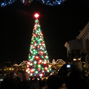 Tree 5 (red & green)