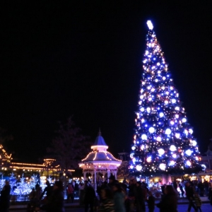 Tree 7 (Town Square)