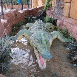 Rainforest crocodile