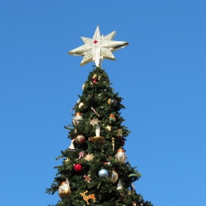 tree top star