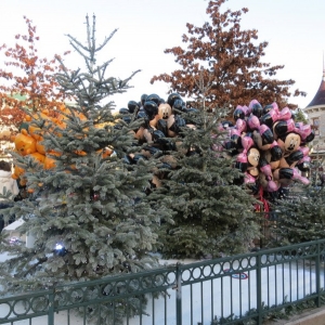 town square trees day