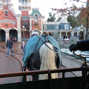 Setting off on tram with grey horse