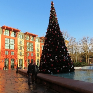 Front of HNY with tree