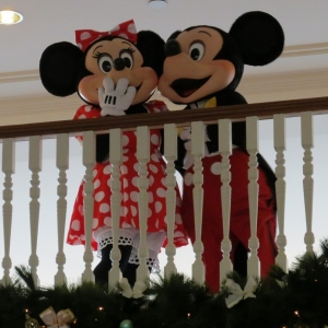 Minnie in DLH