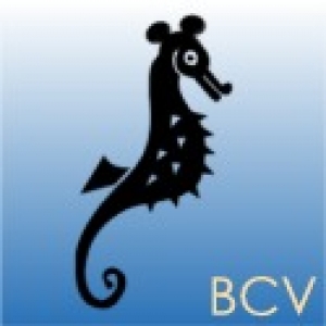 bcvgroup