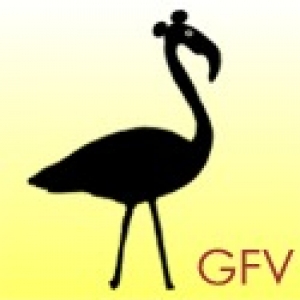 gfvgroup