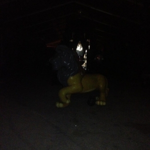 lion