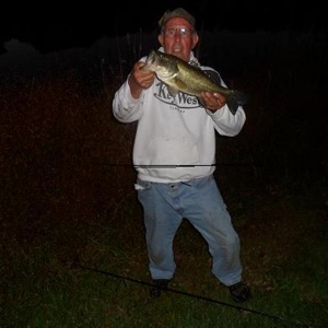 Bass